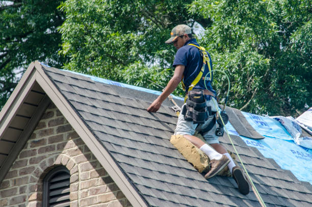 Best Roof Gutter Cleaning  in Powhatan Point, OH
